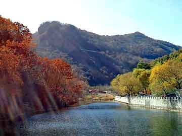 澳门二四六天天彩图库，东风平板货车